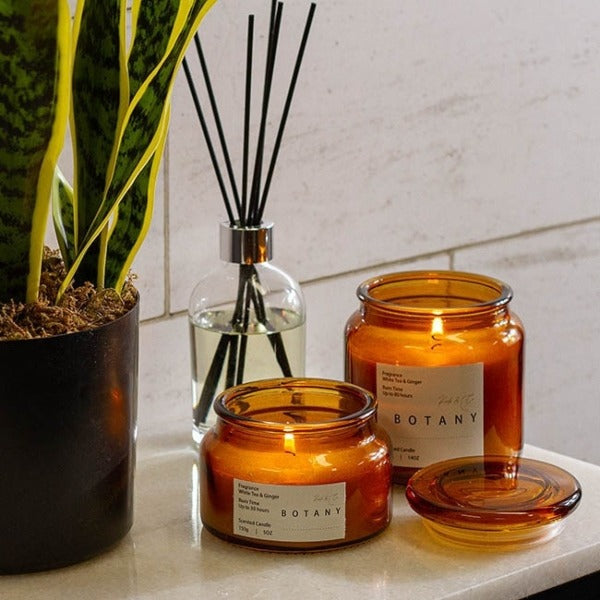 Scented Candle Botany Jar White Tea & Ginger