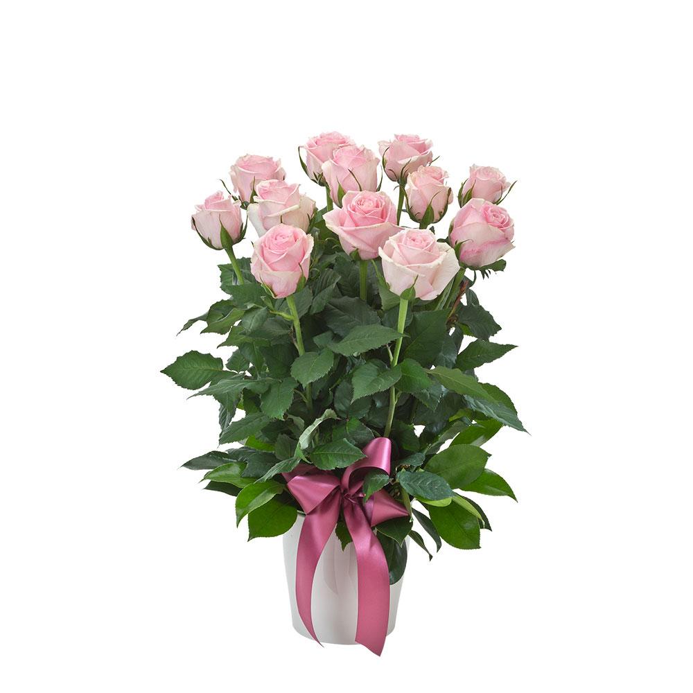 Arrangement of 12 Pink Roses in a Ceramic Pot

Show your love with Impulse. A stunning arrangement of 12 pink roses standing tall in a white ceramic vase with bright bow. They won't be able to resist!

Flowers may vary from the image displayed due to seasonal availability. We'll craft an arrangement which is similar in style using seasonal flowers that is equal or greater in value. 