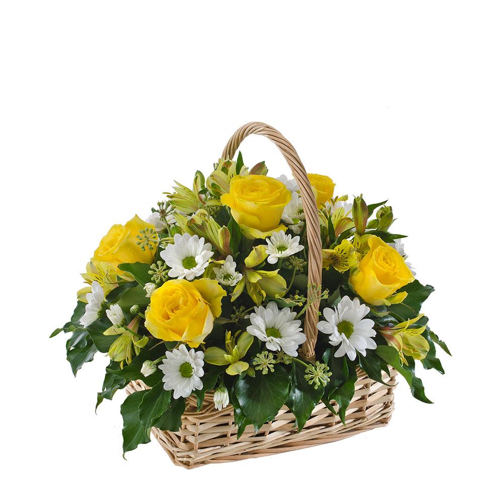 Petite Mixed Basket

With a cottage feel, this Lemon 'n Lime themed basket is a favourite for almost any occasion. Bright yellow tones with touches of white and green overflow in this basket presentation. Leave them beaming with this cute floral gift.

Flowers may vary from the image displayed due to seasonal availability. We'll craft an arrangement which is similar in style using seasonal flowers that is equal or greater in value. 